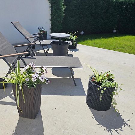 Concept Urban Lägenhet Mediaş Exteriör bild